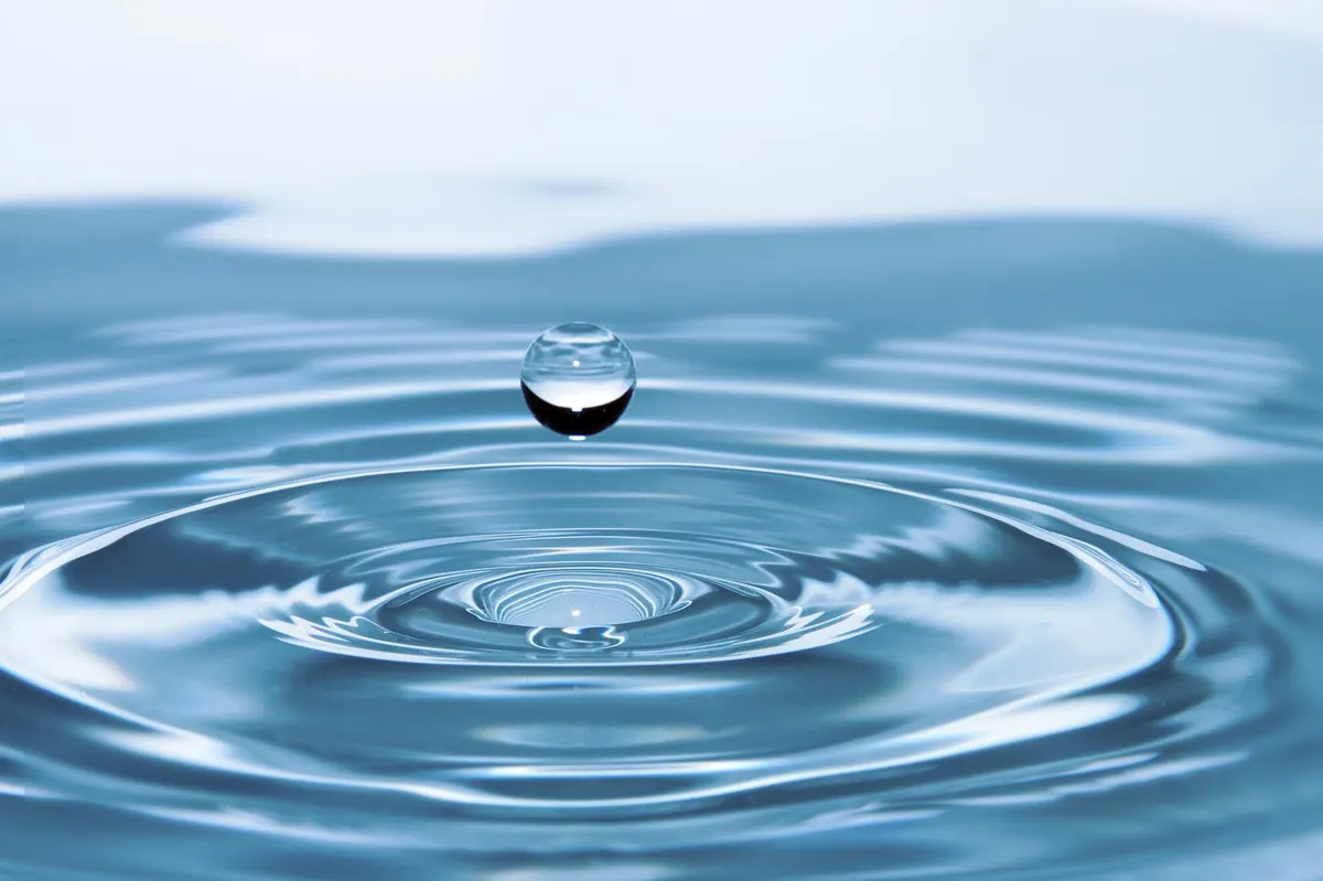 10 Best 10-Inch Water Filter Cartridges — Our Recommendations