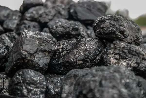 Best bone charcoal water filters reviewed and rated