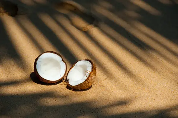 Best coconut water filters reviewed and rated
